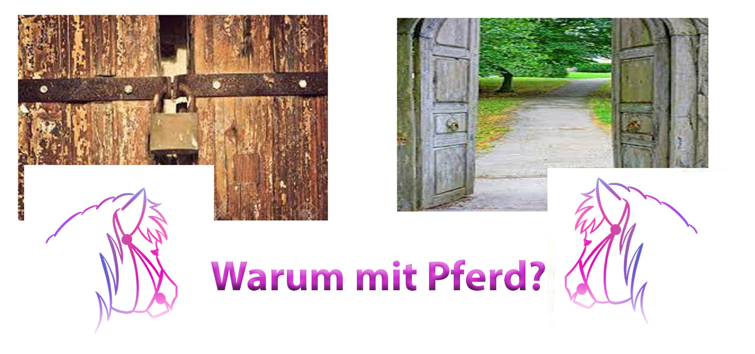 pferdecoaching2 Kopie